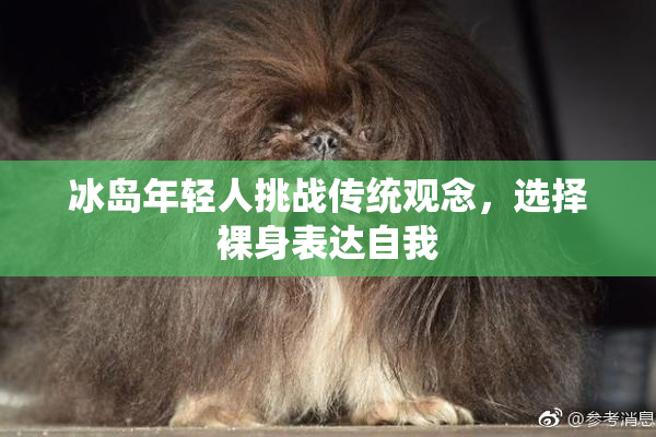 冰岛年轻人挑战传统观念，选择裸身表达自我