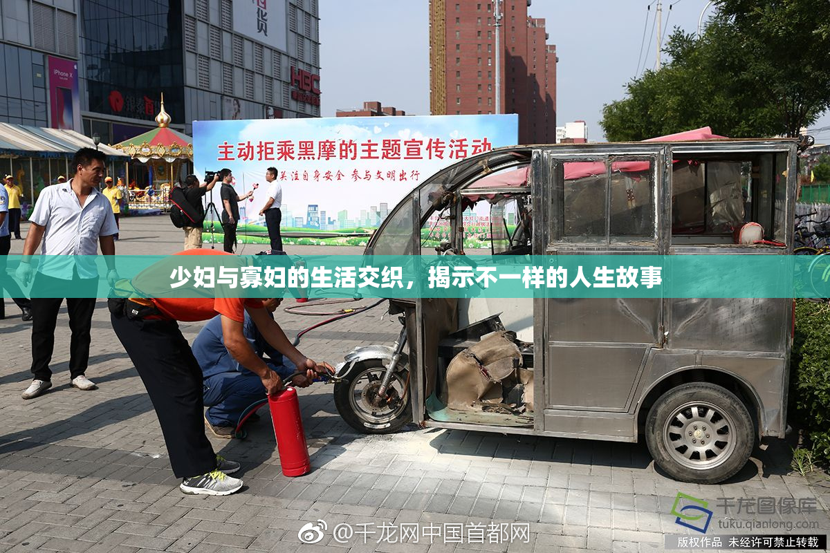 少妇与寡妇的生活交织，揭示不一样的人生故事