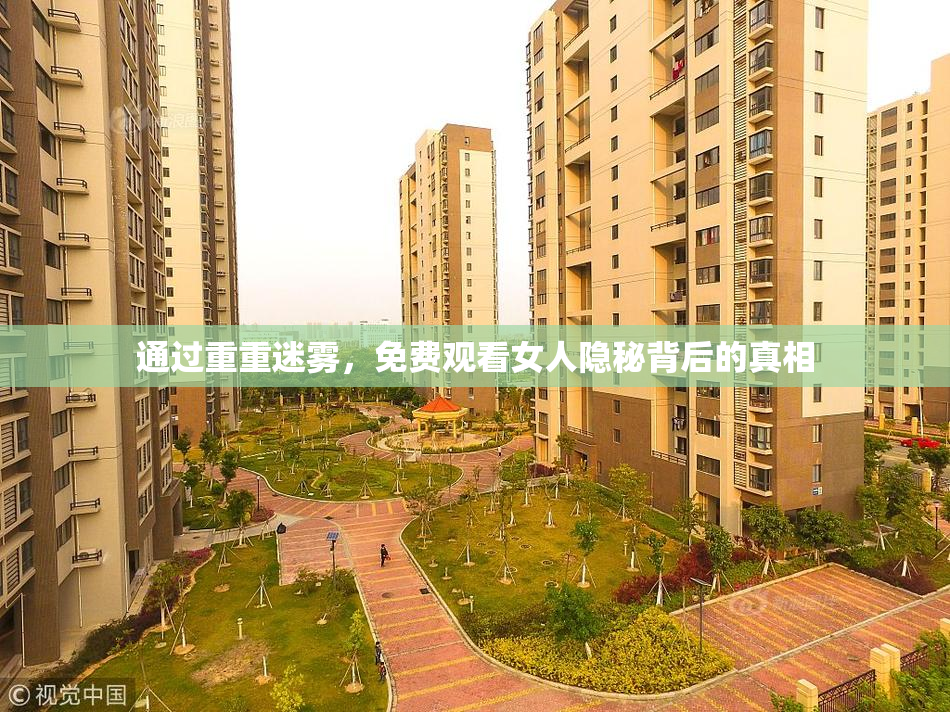 通过重重迷雾，免费观看女人隐秘背后的真相