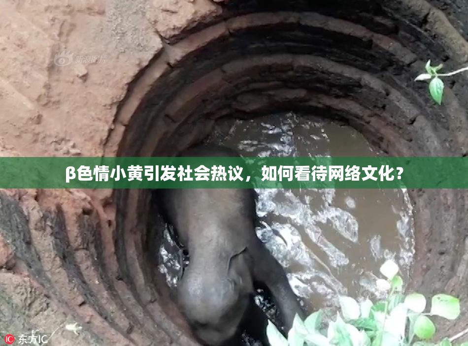 β色情小黄引发社会热议，如何看待网络文化？