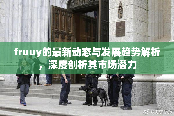 fruuy的最新动态与发展趋势解析，深度剖析其市场潜力
