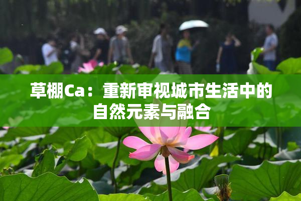 草棚Ca：重新审视城市生活中的自然元素与融合