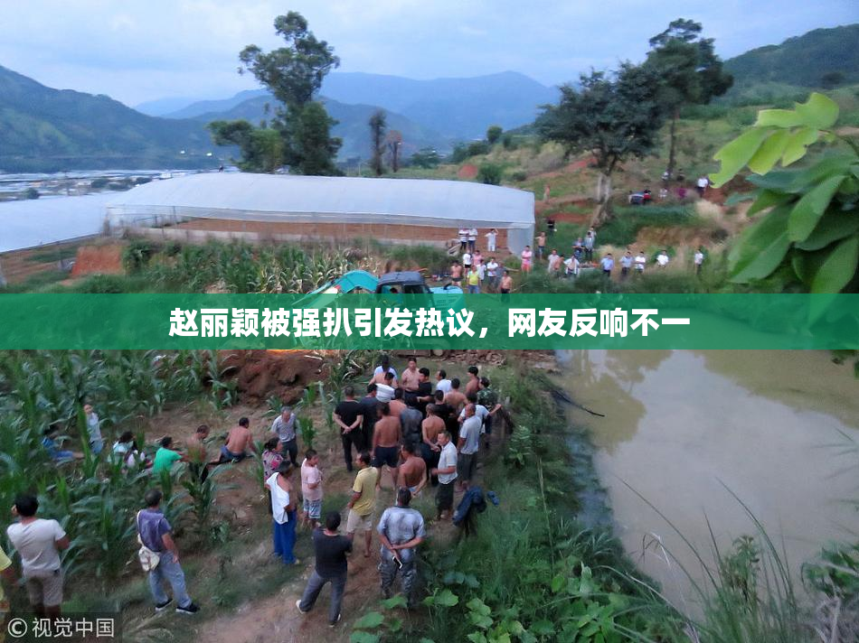 赵丽颖被强扒引发热议，网友反响不一