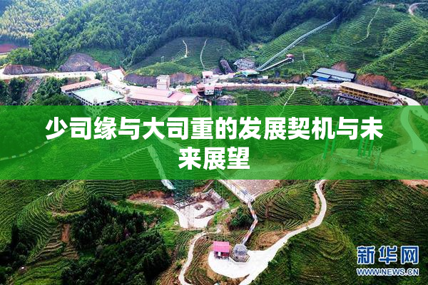 少司缘与大司重的发展契机与未来展望