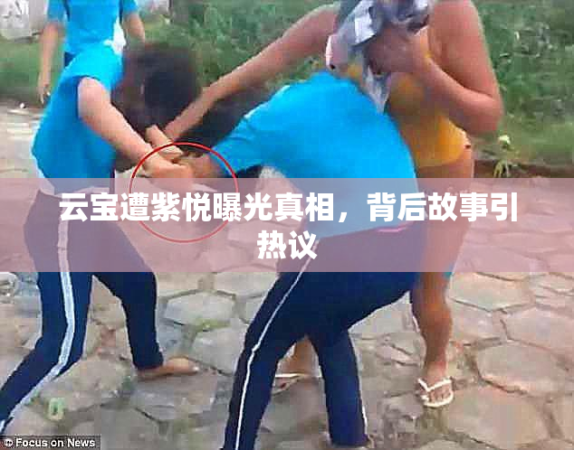 云宝遭紫悦曝光真相，背后故事引热议