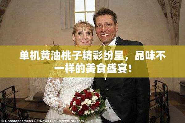 单机黄油桃子精彩纷呈，品味不一样的美食盛宴！