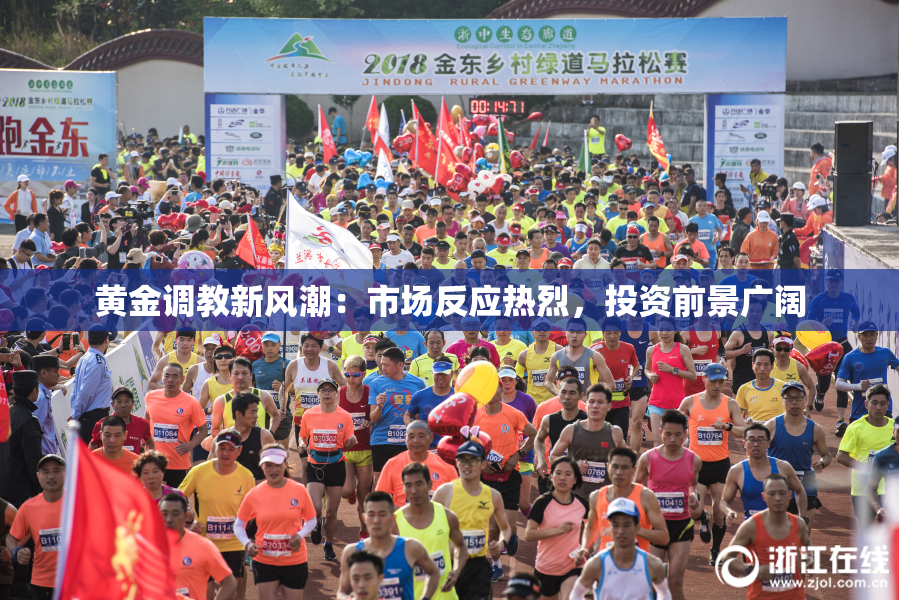 黄金调教新风潮：市场反应热烈，投资前景广阔