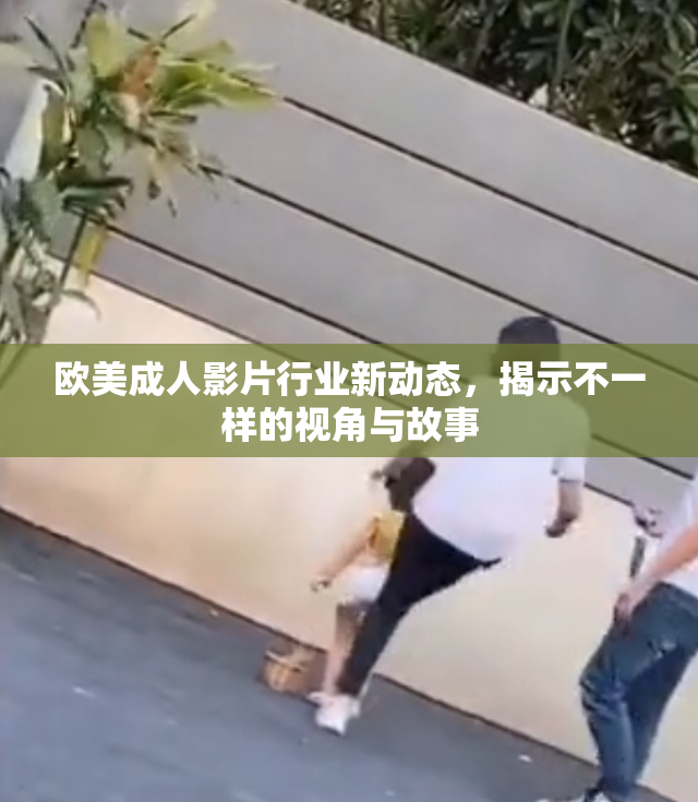 欧美成人影片行业新动态，揭示不一样的视角与故事