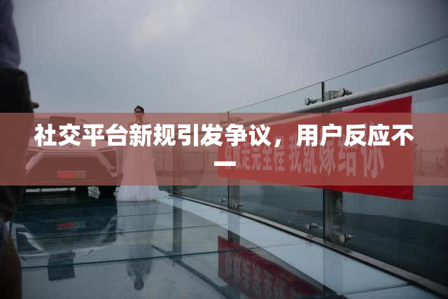 社交平台新规引发争议，用户反应不一
