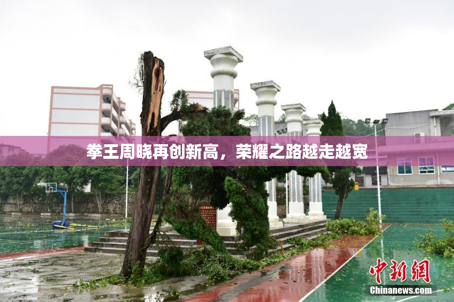 拳王周晓再创新高，荣耀之路越走越宽