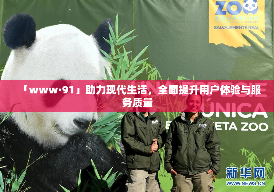 「www·91」助力现代生活，全面提升用户体验与服务质量