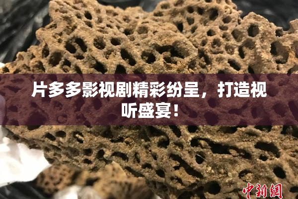 片多多影视剧精彩纷呈，打造视听盛宴！
