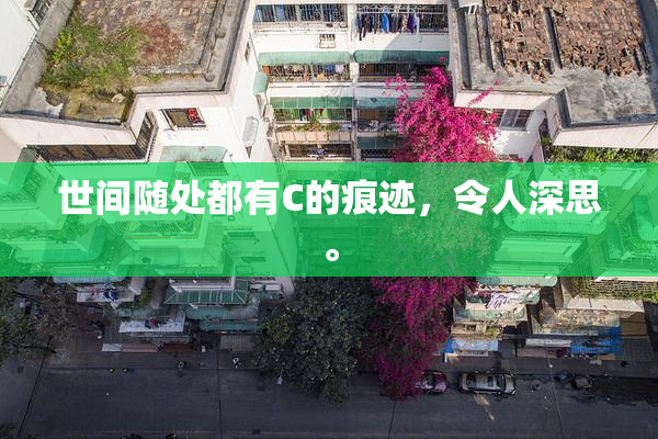 世间随处都有C的痕迹，令人深思。