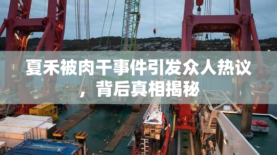 夏禾被肉干事件引发众人热议，背后真相揭秘