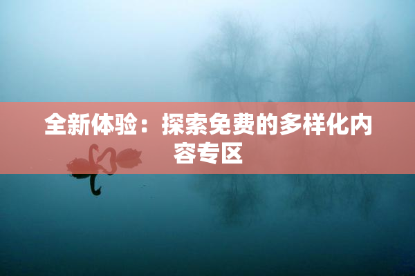全新体验：探索免费的多样化内容专区
