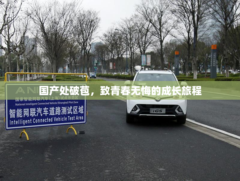 国产处破苞，致青春无悔的成长旅程
