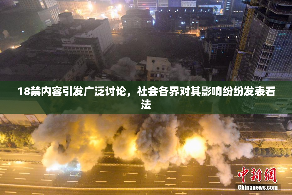 18禁内容引发广泛讨论，社会各界对其影响纷纷发表看法
