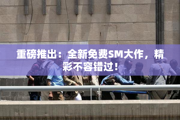 重磅推出：全新免费SM大作，精彩不容错过！