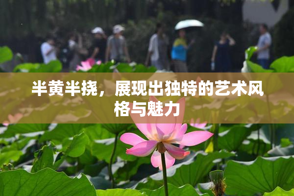 半黄半挠，展现出独特的艺术风格与魅力