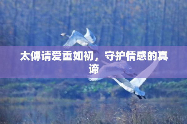 太傅请爱重如初，守护情感的真谛