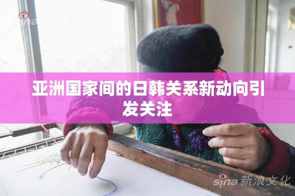 亚洲国家间的日韩关系新动向引发关注