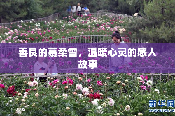 善良的慕柔雪，温暖心灵的感人故事