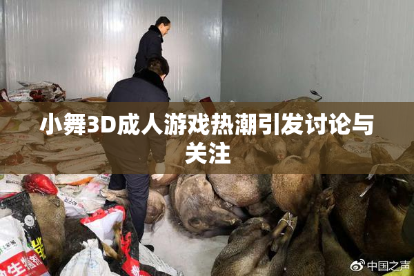 小舞3D成人游戏热潮引发讨论与关注