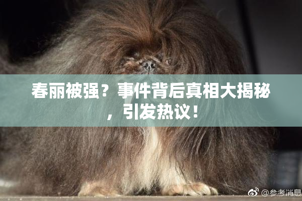 春丽被强？事件背后真相大揭秘，引发热议！