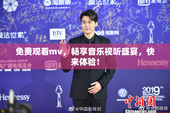 免费观看mv，畅享音乐视听盛宴，快来体验！