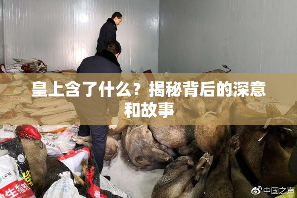 皇上含了什么？揭秘背后的深意和故事