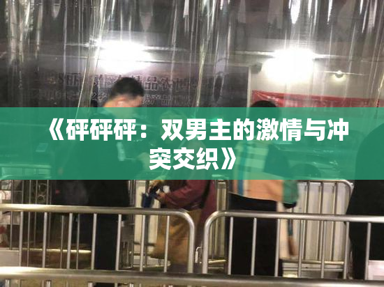 《砰砰砰：双男主的激情与冲突交织》
