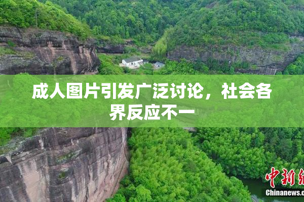 成人图片引发广泛讨论，社会各界反应不一