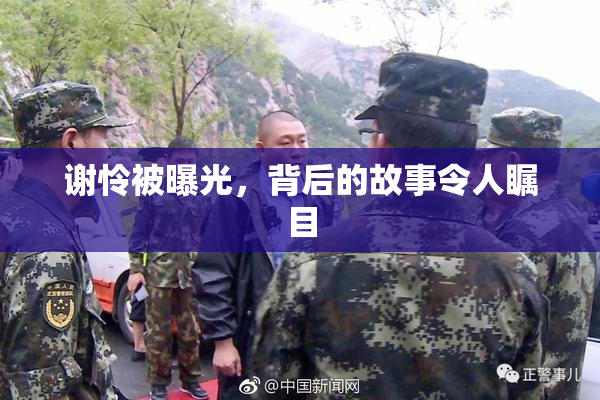谢怜被曝光，背后的故事令人瞩目