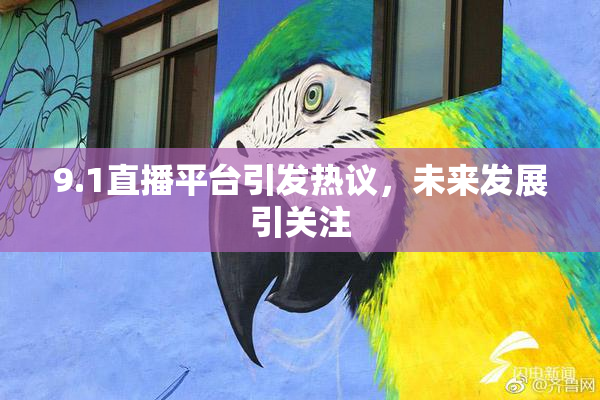 9.1直播平台引发热议，未来发展引关注