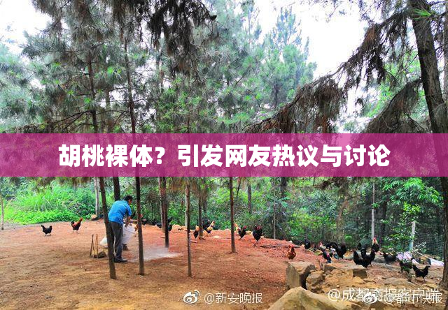 胡桃裸体？引发网友热议与讨论