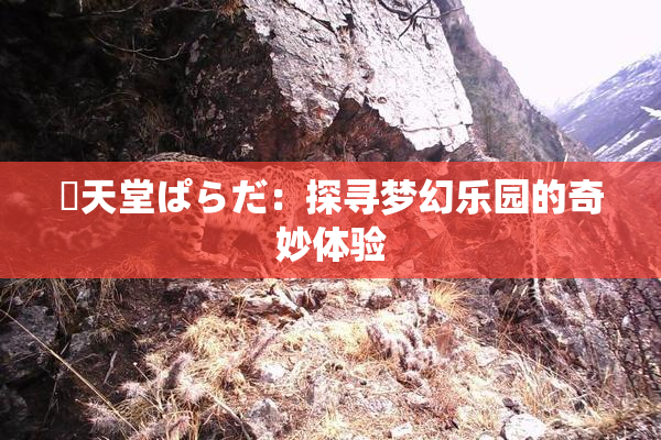 妺天堂ぱらだ：探寻梦幻乐园的奇妙体验