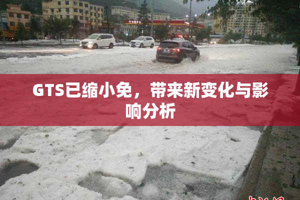 GTS已缩小免，带来新变化与影响分析
