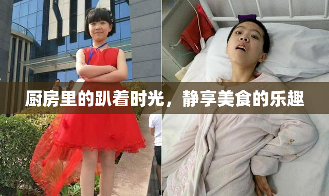 厨房里的趴着时光，静享美食的乐趣