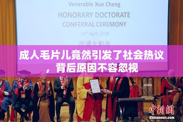 成人毛片儿竟然引发了社会热议，背后原因不容忽视