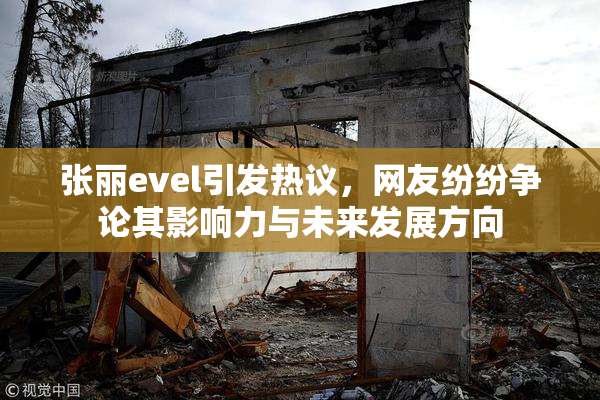 张丽evel引发热议，网友纷纷争论其影响力与未来发展方向