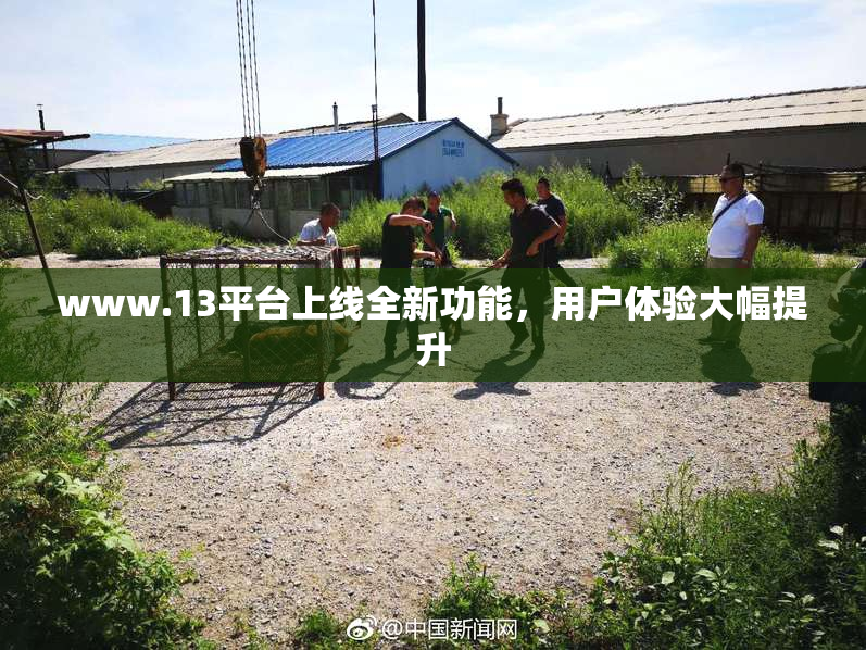 www.13平台上线全新功能，用户体验大幅提升