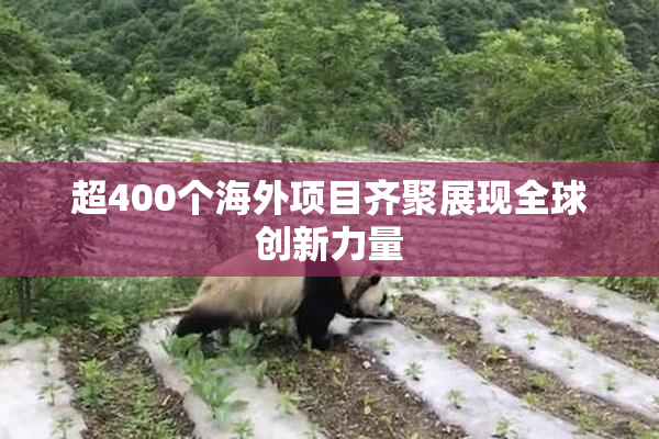 超400个海外项目齐聚展现全球创新力量