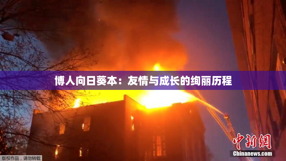 博人向日葵本：友情与成长的绚丽历程