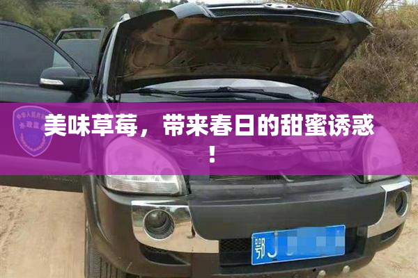 美味草莓，带来春日的甜蜜诱惑！
