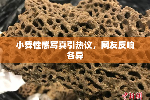 小舞性感写真引热议，网友反响各异