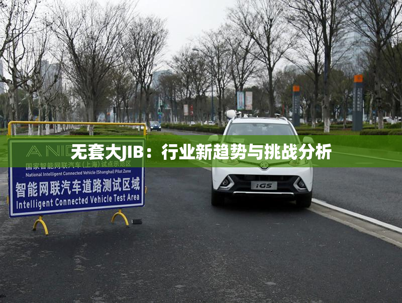无套大JIB：行业新趋势与挑战分析