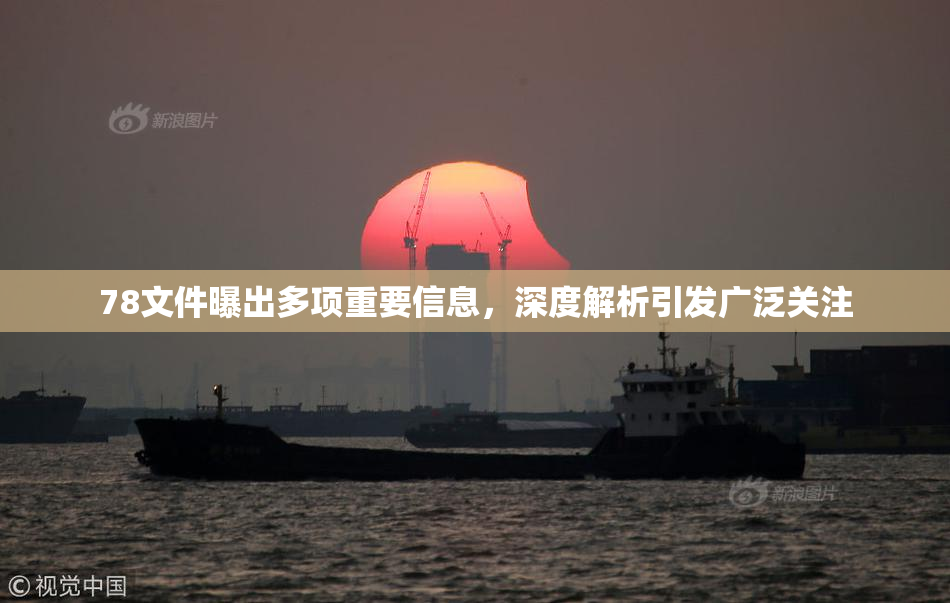 78文件曝出多项重要信息，深度解析引发广泛关注