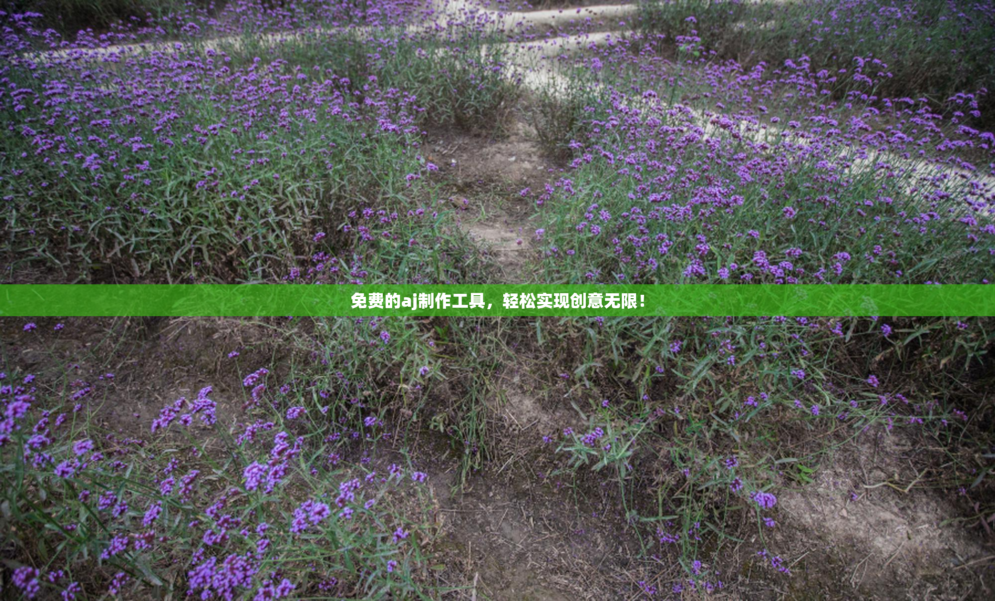 免费的aj制作工具，轻松实现创意无限！