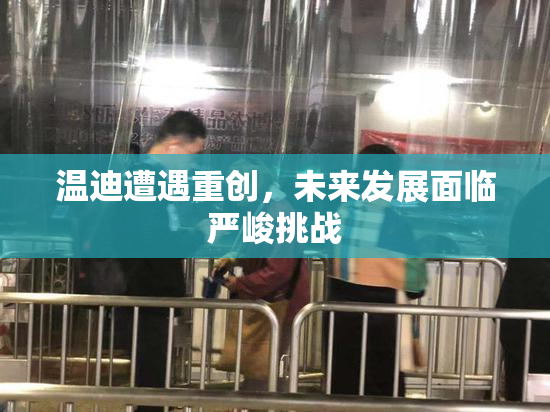 温迪遭遇重创，未来发展面临严峻挑战