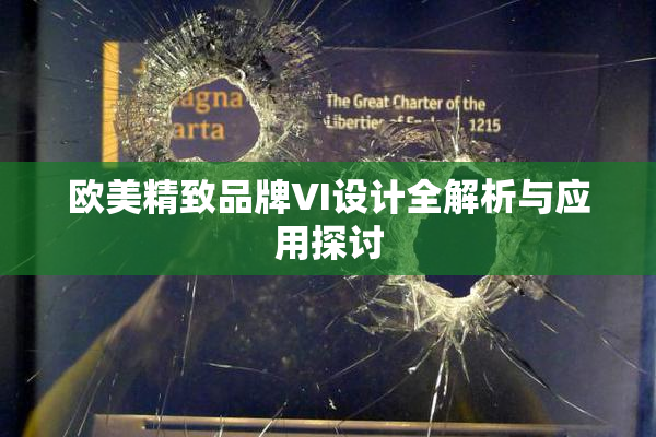 欧美精致品牌VI设计全解析与应用探讨